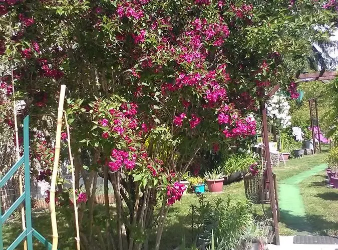 Hotel Le Parisien Saintes